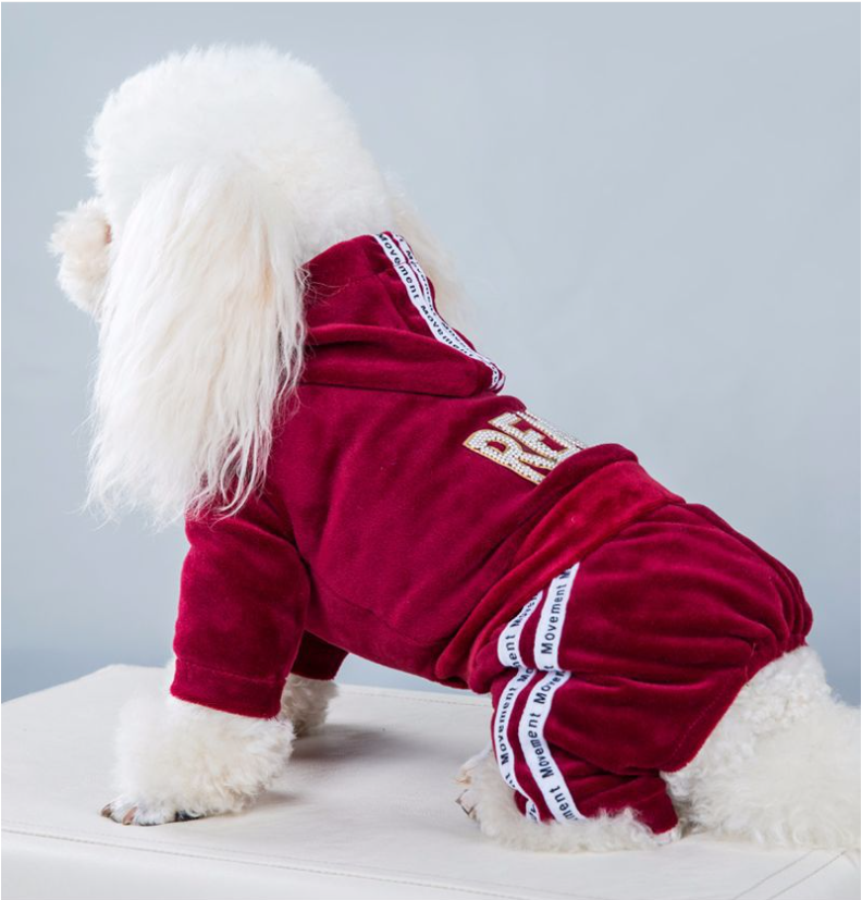 Pet Velvet Jumpsuit Athletic Hoodie with Rhinestone Design